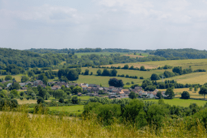 Immobilienverkauf Land vs. Stadt – Werz Immobilien