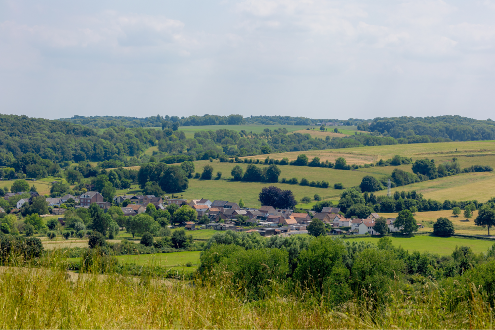 Immobilienverkauf Land vs. Stadt – Werz Immobilien