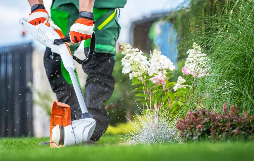 Gartenarbeit rechtssicher nach Hauskauf