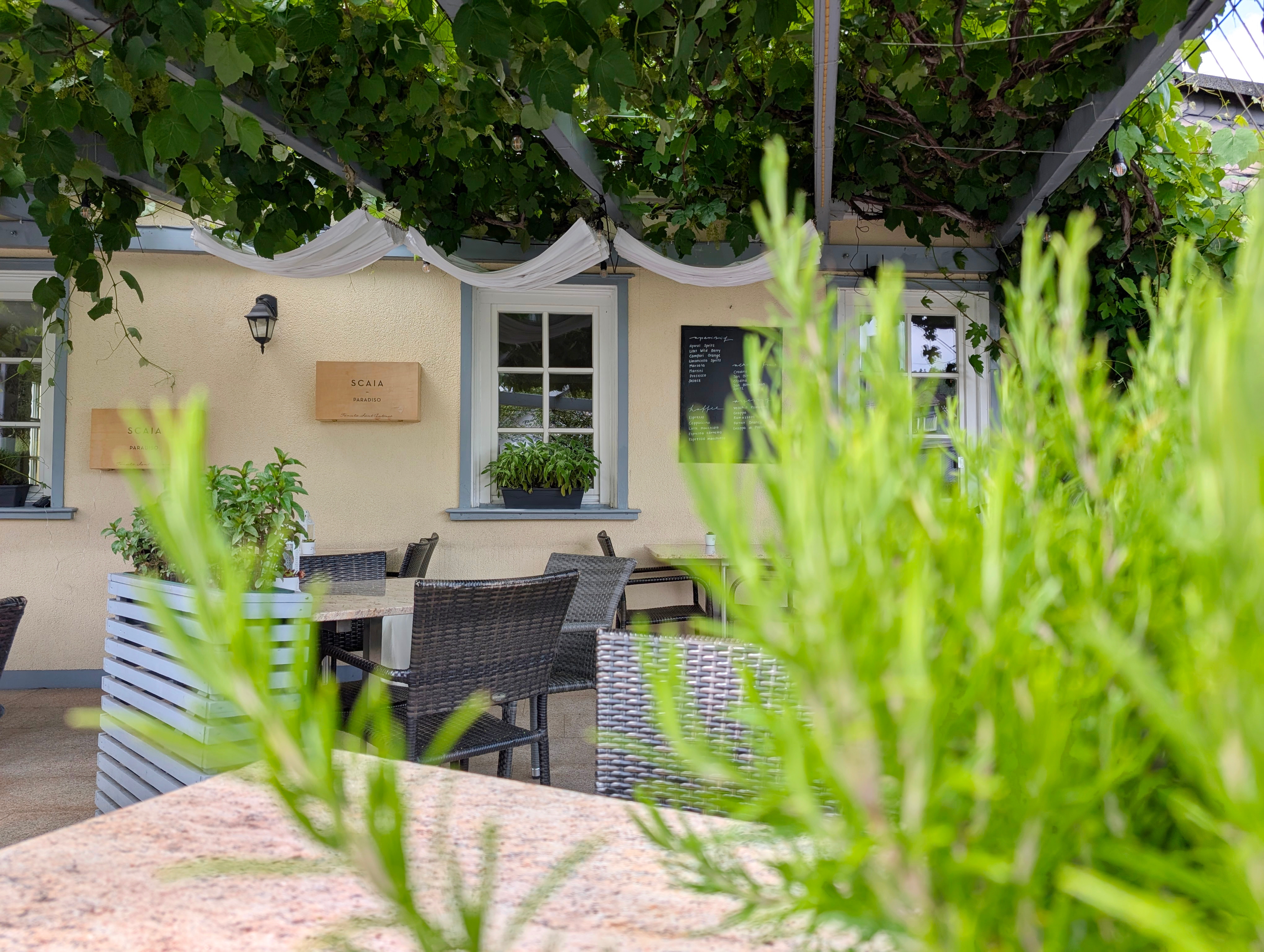 Terrasse - Werz Immobilien