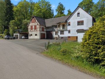 Bauernhaus mit Wiesen – ideal für Pferdehaltung - Außenansicht - Werz Immobilien (34302)