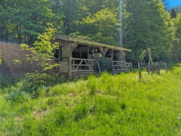 Bauernhaus mit Wiesen – ideal für Pferdehaltung - Offenstall - Werz Immobilien (34320)