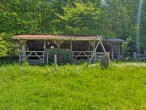Offenstall - Werz Immobilien - Bauernhaus mit Wiesen – ideal für Pferdehaltung