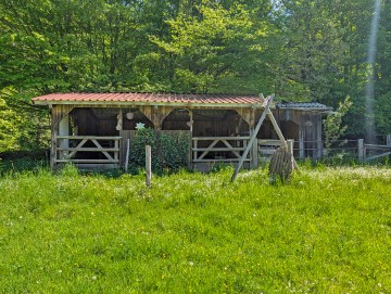 Bauernhaus mit Wiesen – ideal für Pferdehaltung - Offenstall - Werz Immobilien (34321)
